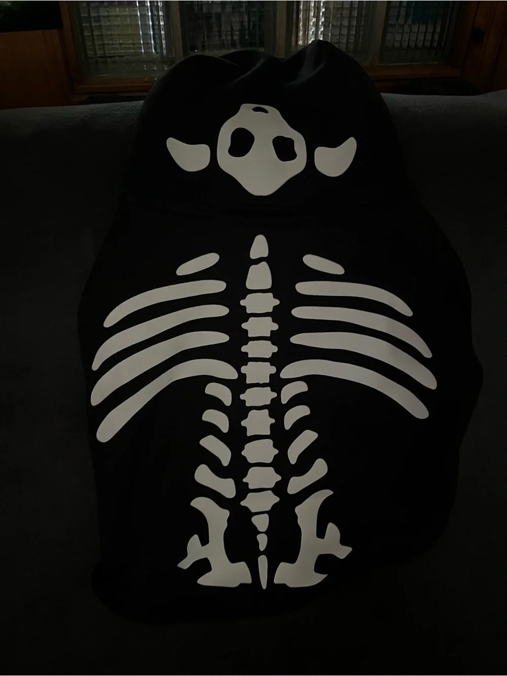 Dog Hoodie XXL PINK